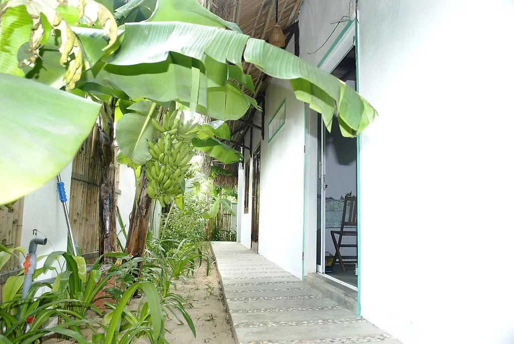 Homestay An Bang Little Family Apartment Hoi An