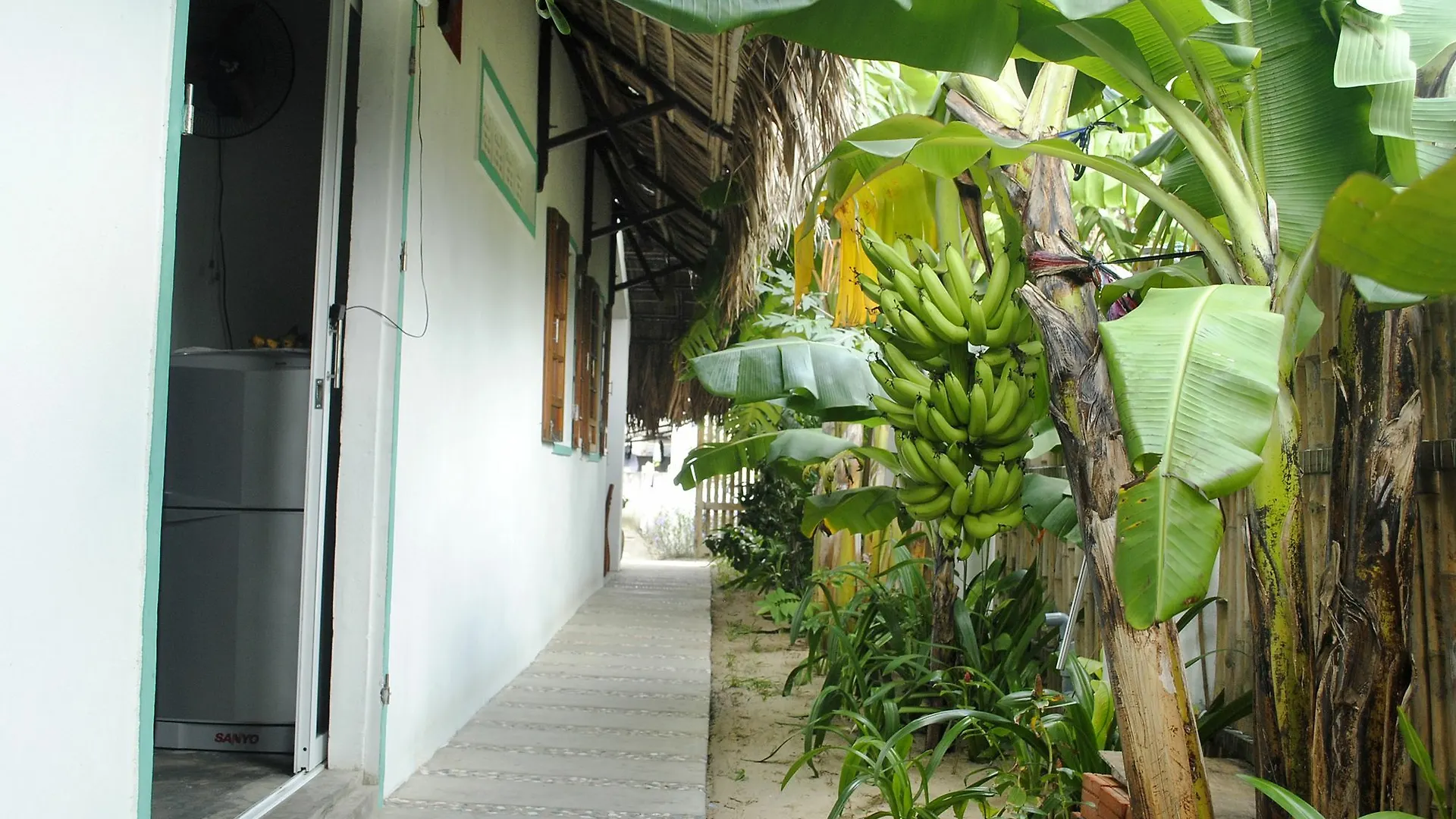 Homestay An Bang Little Family Apartment Hoi An